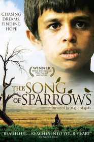 The Song of Sparrows